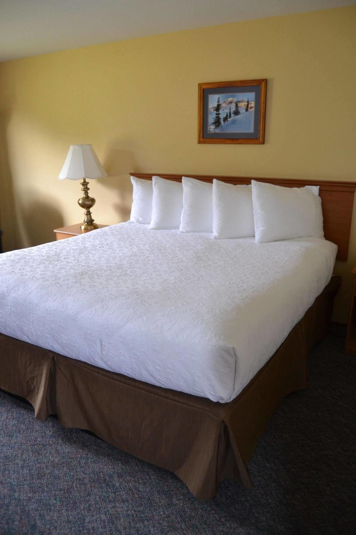 Cowlitz River Lodge Packwood Dış mekan fotoğraf
