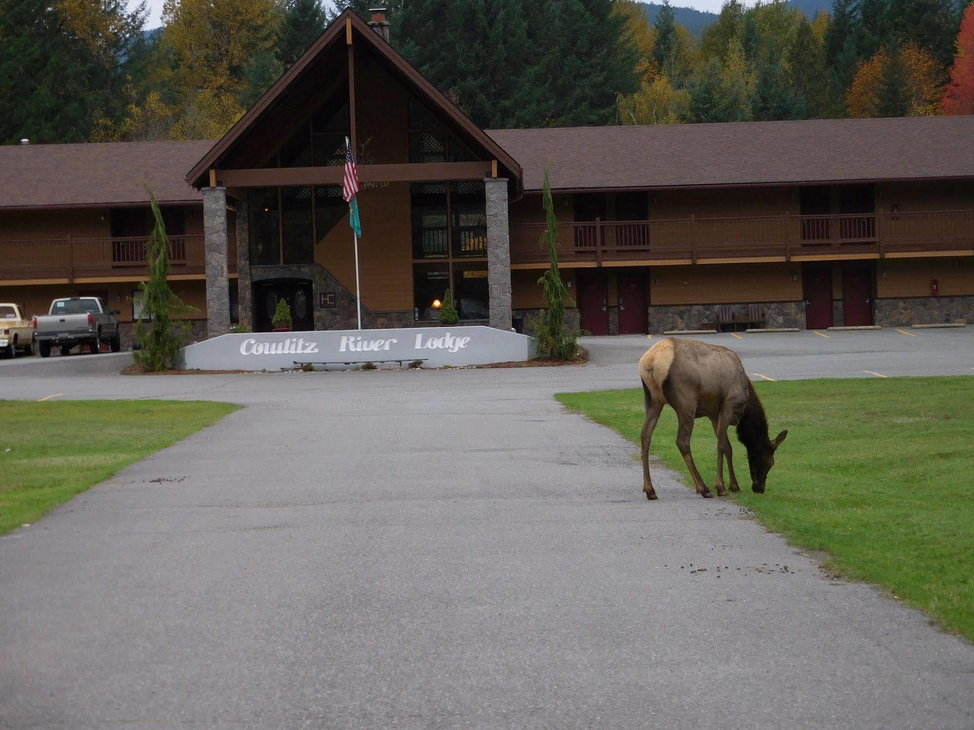 Cowlitz River Lodge Packwood Dış mekan fotoğraf