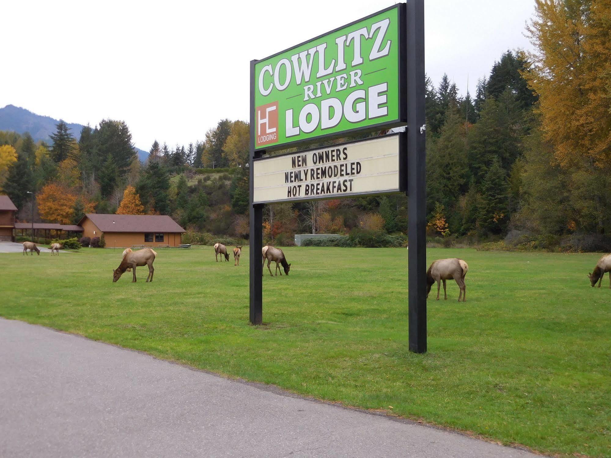 Cowlitz River Lodge Packwood Dış mekan fotoğraf